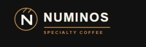 Logo NUMINOS SPACE 39