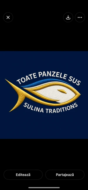 Logo All Sails Up Bucharest